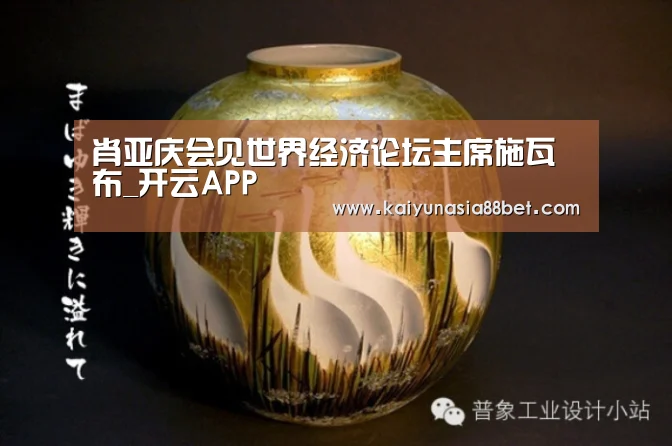 肖亚庆会见世界经济论坛主席施瓦布_开云APP(图3) 开云登录