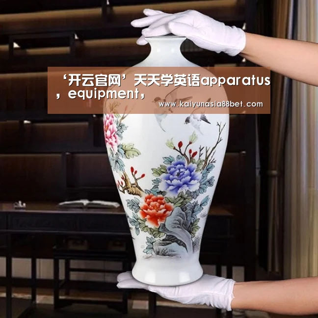 ‘开云官网’天天学英语apparatus, equipment,(图3) 开云入口
